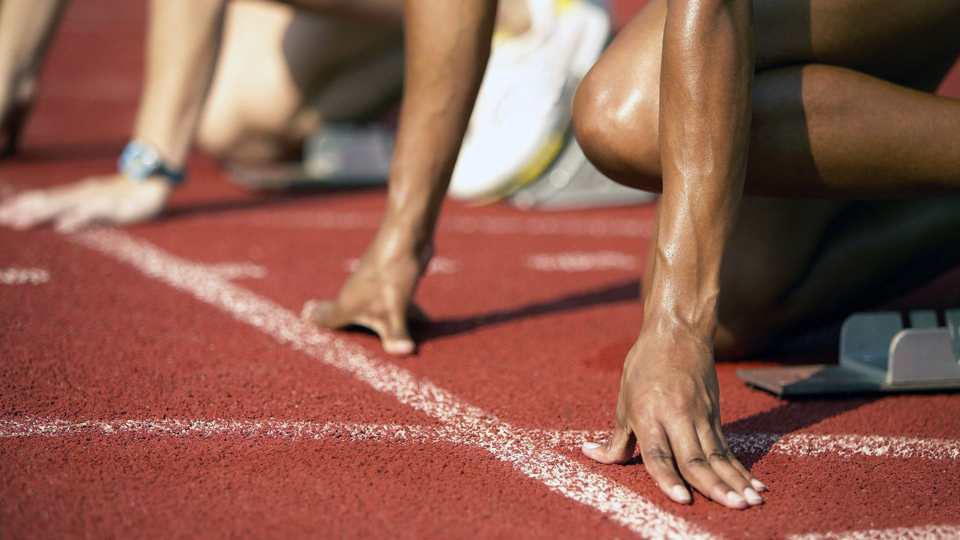 体育政策新规出台,全民健身计划升级,职业联赛改革深化