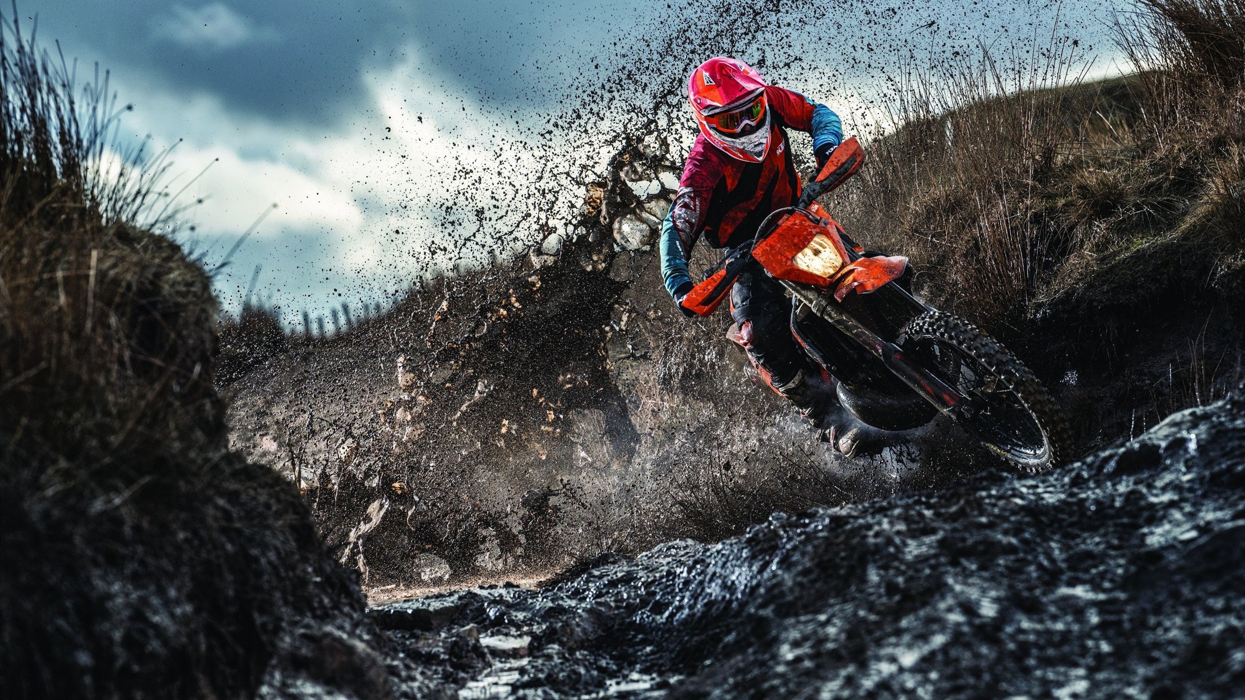 体育公益携手前行 爱心传递温暖人心